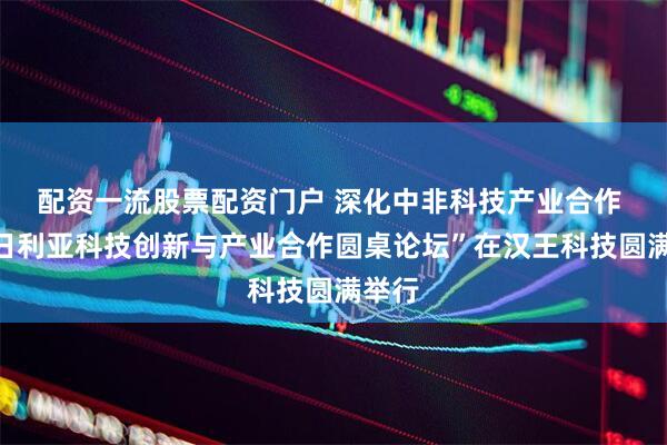 配资一流股票配资门户 深化中非科技产业合作 “尼日利亚科技创新与产业合作圆桌论坛”在汉王科技圆满举行