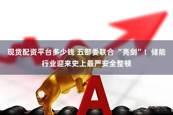 现货配资平台多少钱 五部委联合 “亮剑”！储能行业迎来史上最严安全整顿