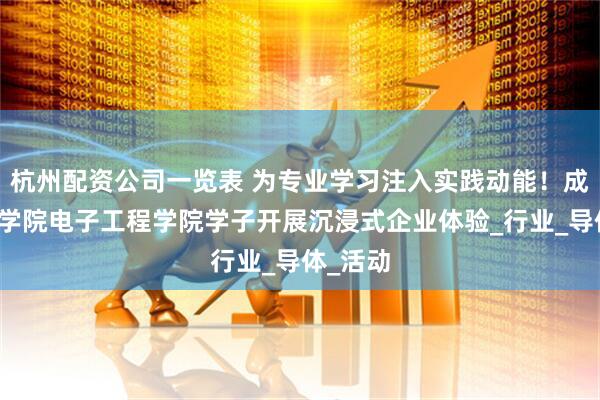 杭州配资公司一览表 为专业学习注入实践动能！成都工业学院电子工程学院学子开展沉浸式企业体验_行业_导体_活动