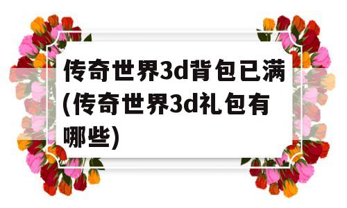 传奇世界3d背包已满(传奇世界3d礼包有哪些)