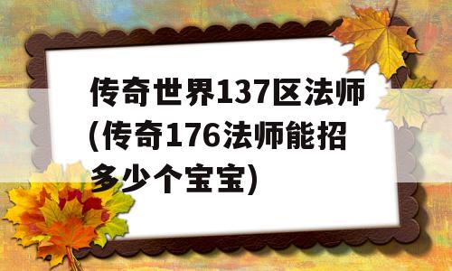 传奇世界137区法师(传奇176法师能招多少个宝宝)